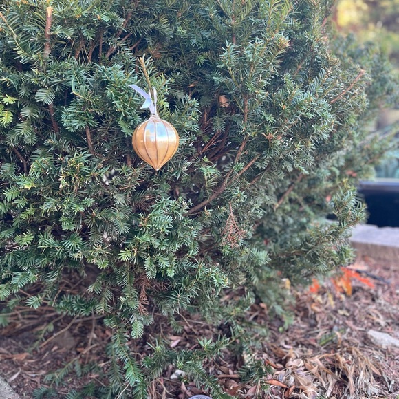 Blown Glass Breathtaking Ornament Ball. - Picture 3 of 8